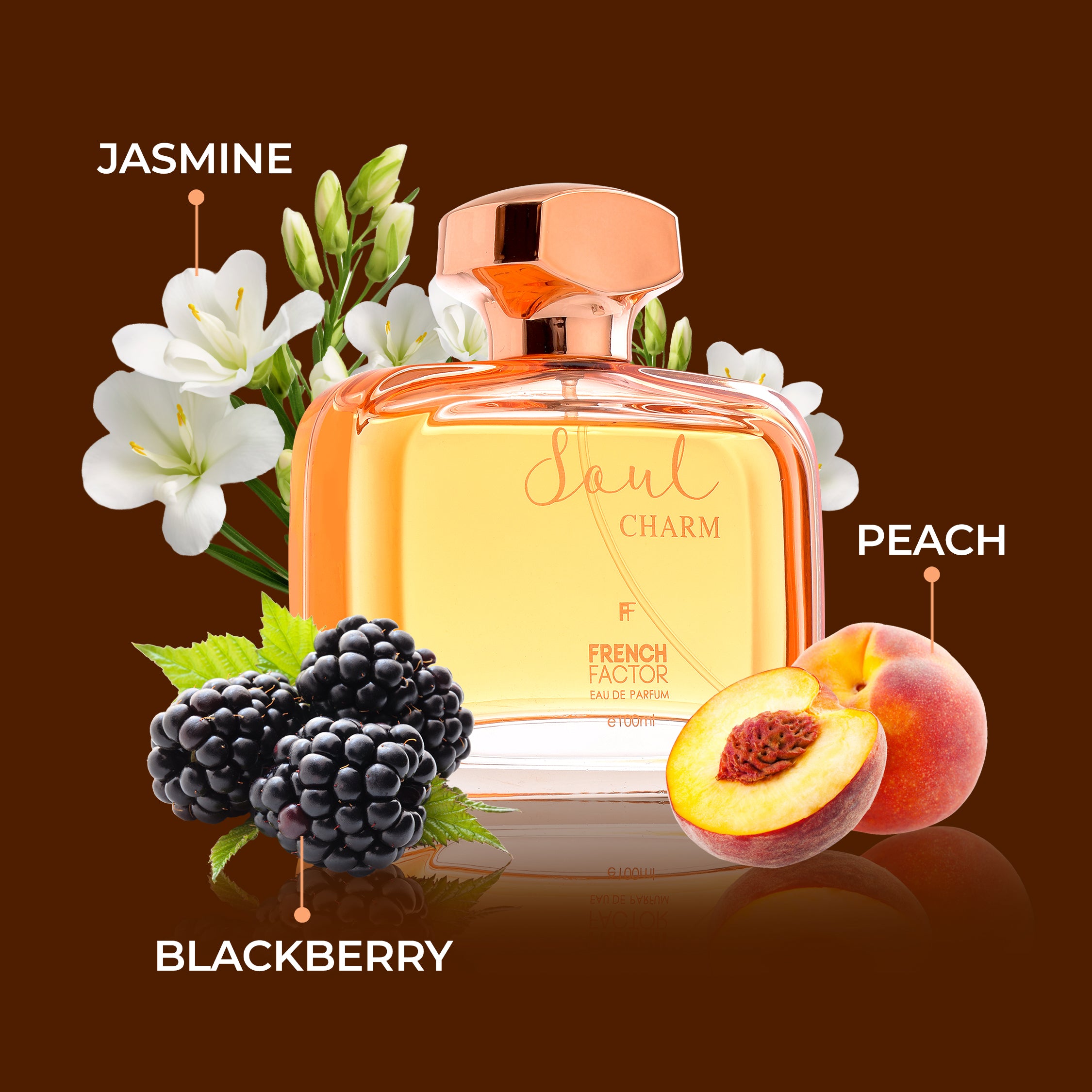 Perfume for women, Best perfume for women, Best perfume for ladies, Branded perfume for women, Branded ladies perfume, Vanilla perfume, eau de parfum