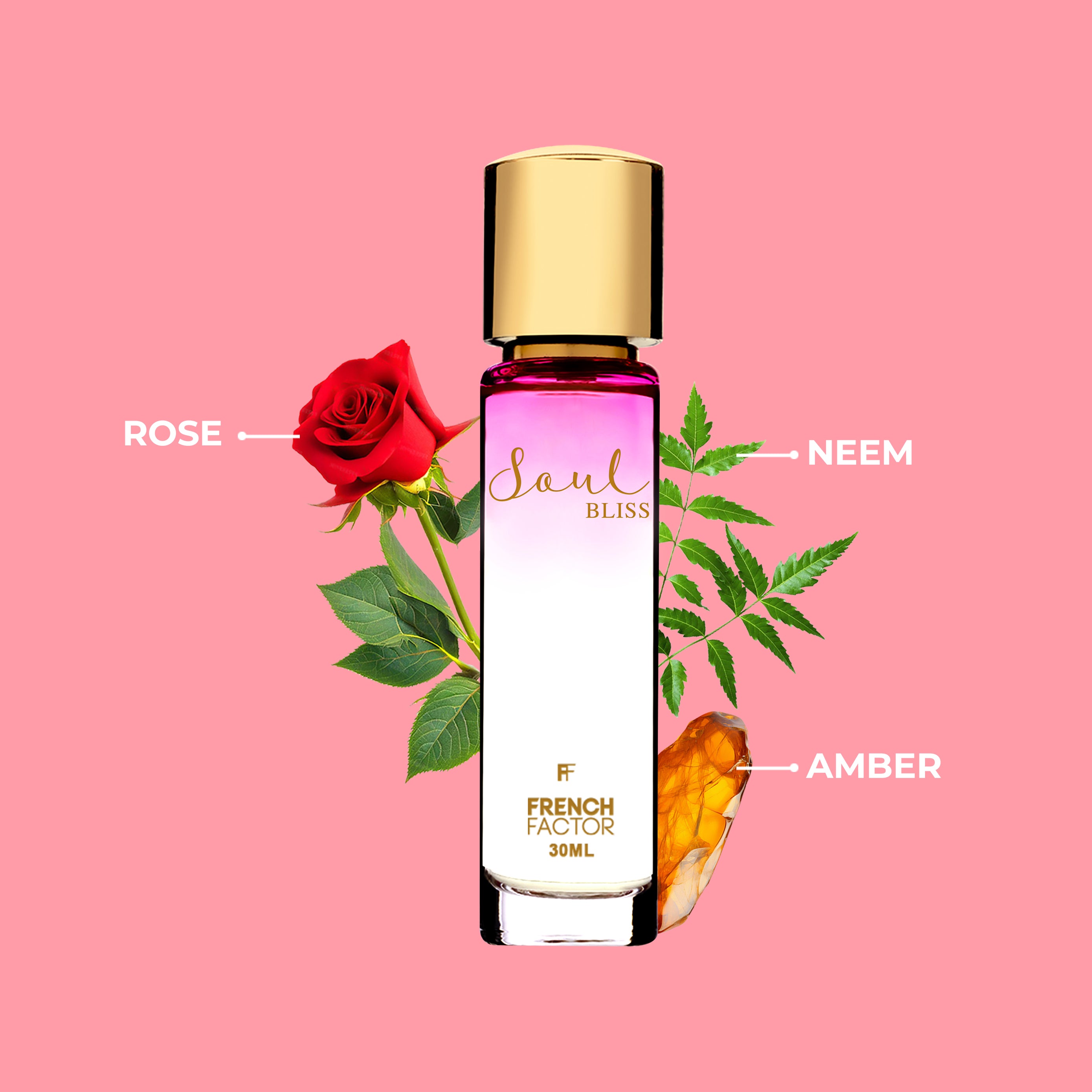 Perfume for women, Best perfume for women, Best perfume for ladies, Branded perfume for women, Branded ladies perfume, Vanilla perfume, eau de parfum