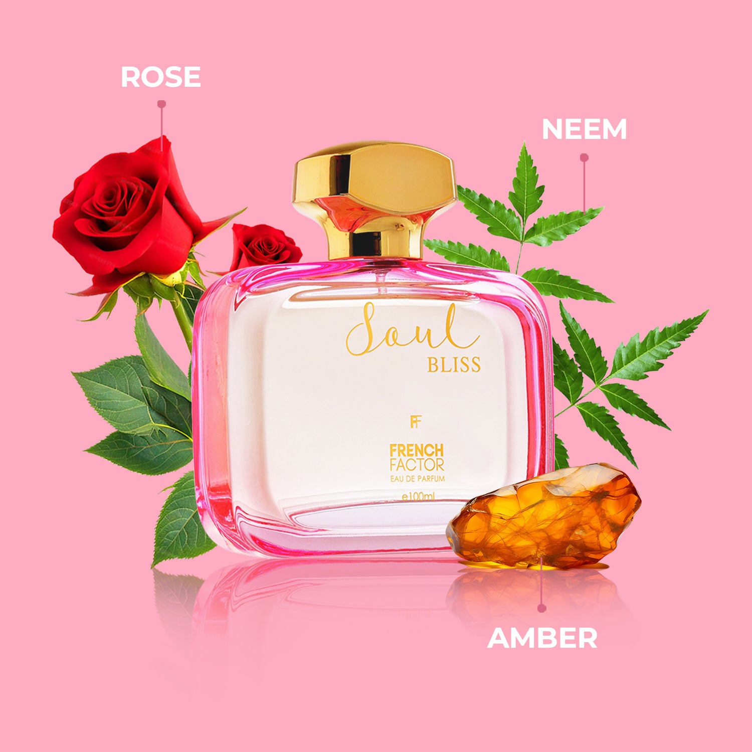 Perfume for women, Best perfume for women, Best perfume for ladies, Branded perfume for women, Branded ladies perfume, Vanilla perfume, eau de parfum
