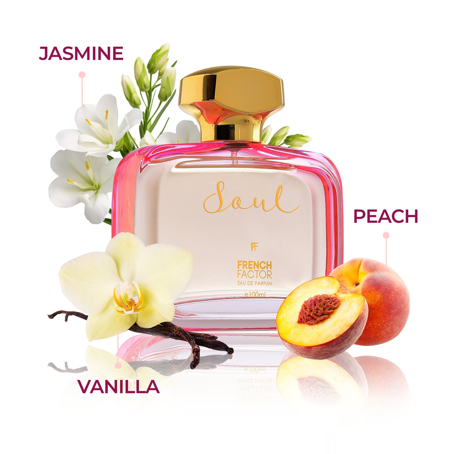 Perfume for women, Best perfume for women, Best perfume for ladies, Branded perfume for women, Branded ladies perfume, Vanilla perfume, eau de parfum