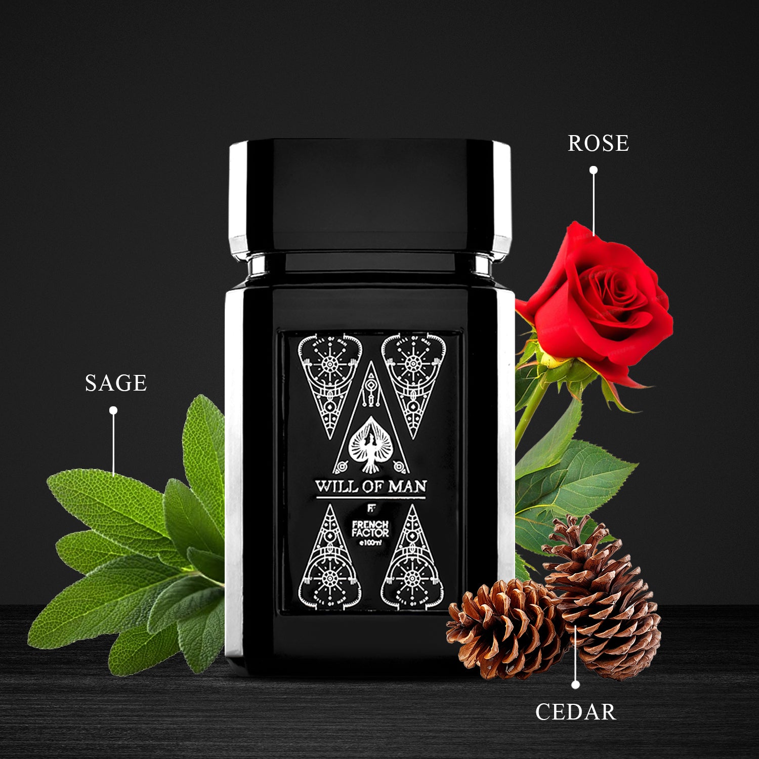 perfume for men, Branded perfume for men, Best attar for men, Men’s gift ideas, Cologne for men, eau de parfum