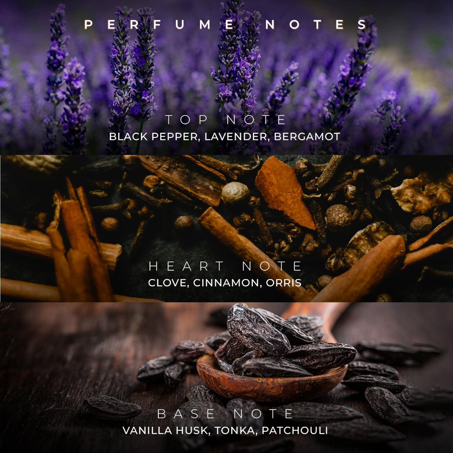 Legend EDP - Order Legend EDP 100 ML – French Factor